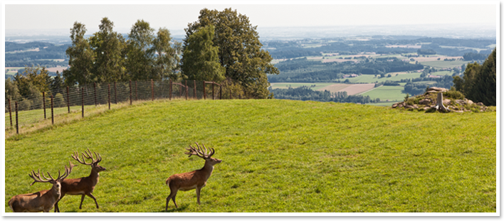 Unsere Heimat